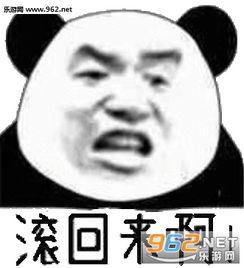 没有本人照片 表情包,揭秘那些没有本人照片的搞笑表情包