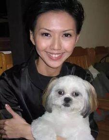 明星宠物,揭秘明星与爱宠的甜蜜日常