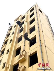 上海tag娱乐公司,引领潮流的娱乐先锋