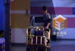 搬运娱乐新闻,明星动向大揭秘！