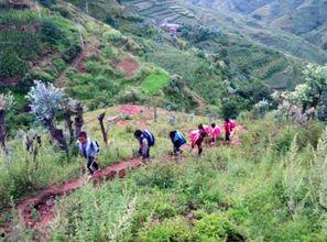 魏高明照片,镜头下的时代印记与人物风采