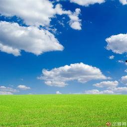 蓝天的个人资料,探索这位年轻才俊的奋斗之路与梦想篇章